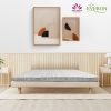 Đệm bông ép Ceramic Vip Everon 2 tấm cao cấp